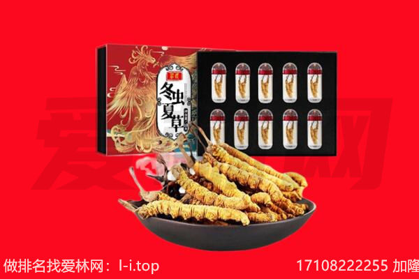 临汾市古县回收虫草.jpg